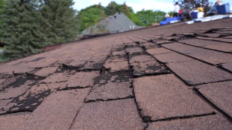 Best Skylight Installation and Repair  in Garrettsville, OH